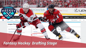 two hockey players in the game drafting.